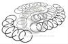 1972-91 Set fasce pistoni misura standard motore 8 cil. 360 AMC 5.9 SJ