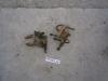 Piastre e U bolt balestre posteriori AMC 20