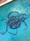 Impianto elettrico Jeep Wrangler YJ smontato da zona calandra fari con spinotto alternatore